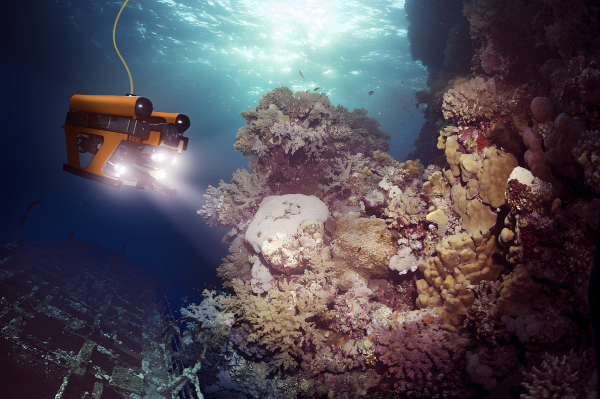 Нефтяники ищут сокровища, прежде чем начать разработку месторождений